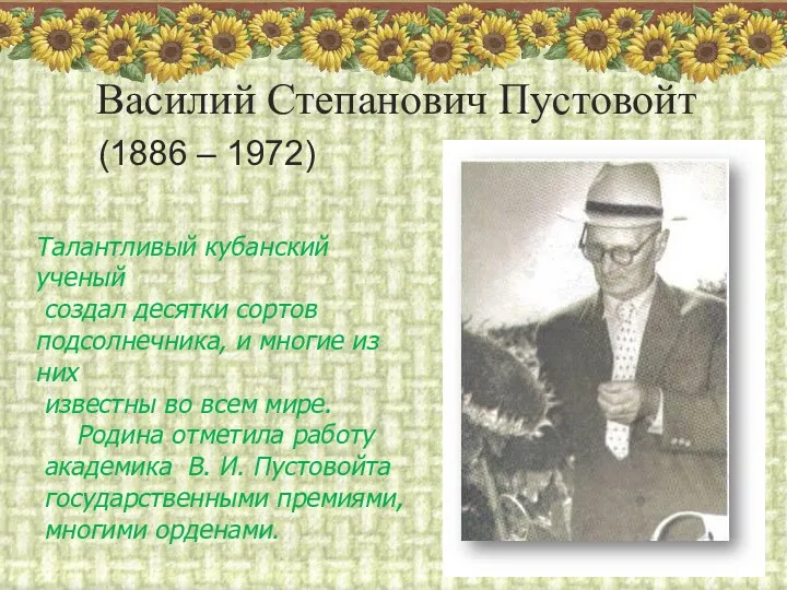 Василий Степанович Пустовойт Талантливый кубанский ученый создал десятки сортов подсолнечника,