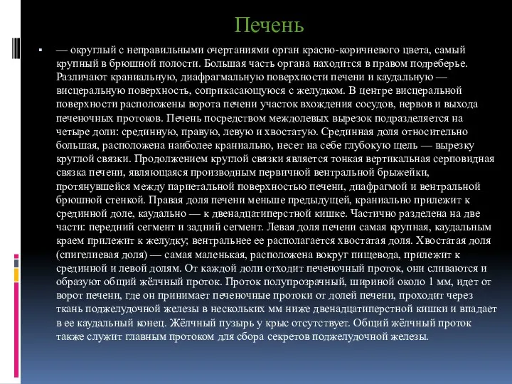 Печень — округлый с неправильными очертаниями орган красно-коричневого цвета, самый