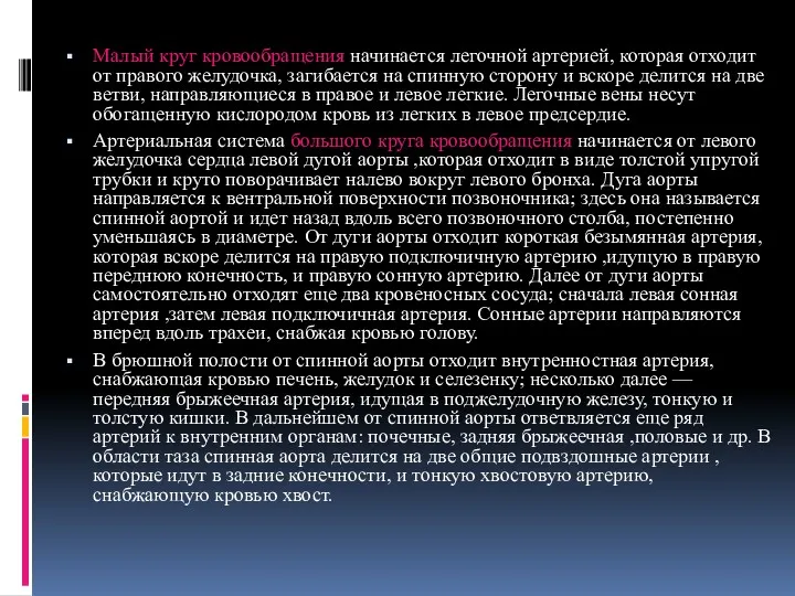 Малый круг кровообращения начинается легочной артерией, которая отходит от правого