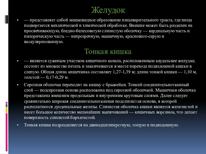 Желудок — представляет собой мешковидное образование пищеварительного тракта, где пища