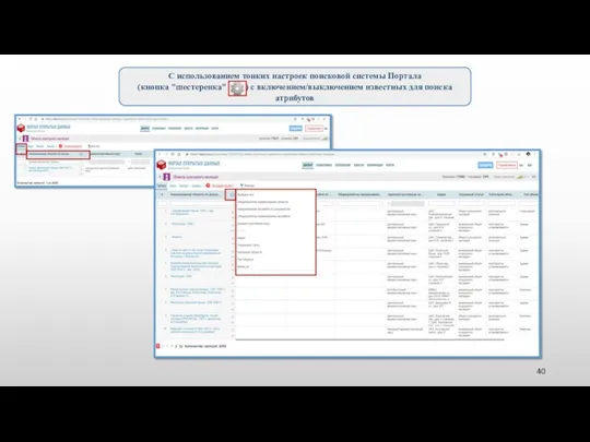 С использованием тонких настроек поисковой системы Портала (кнопка "шестеренка" ) с включением/выключением известных для поиска атрибутов