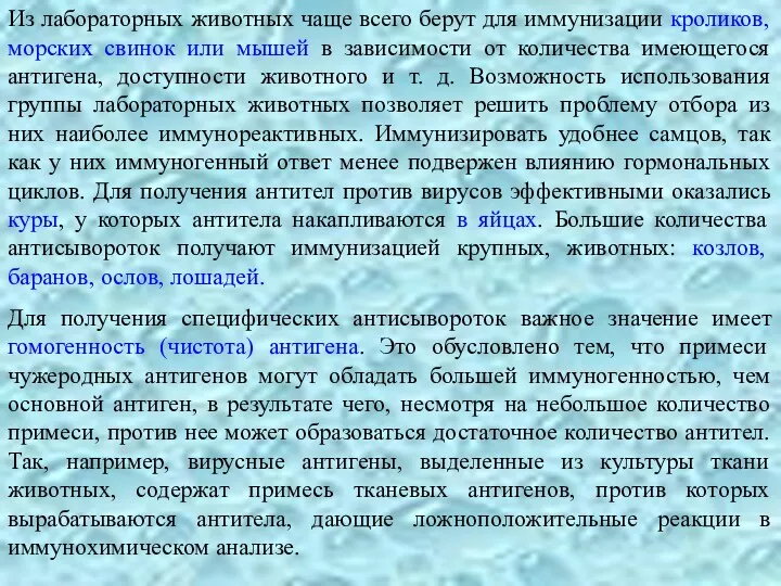 Из лабораторных животных чаще всего берут для иммунизации кроликов, морских