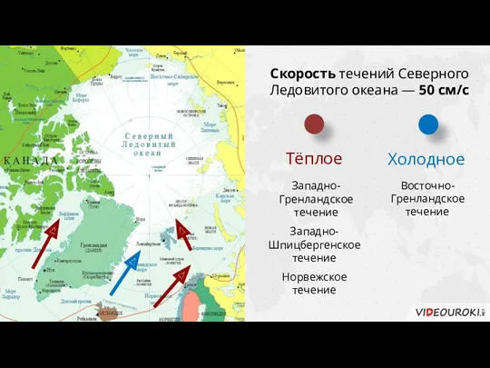 Скорость течений Северного Ледовитого океана — 50 см/с Западно-Гренландское течение