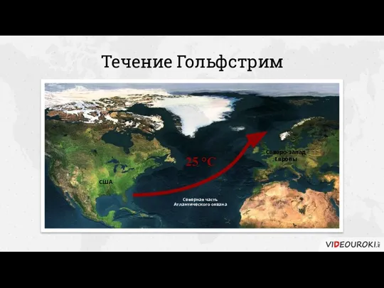 Течение Гольфстрим Северная часть Атлантического океана США Северо-запад Европы 25 °С