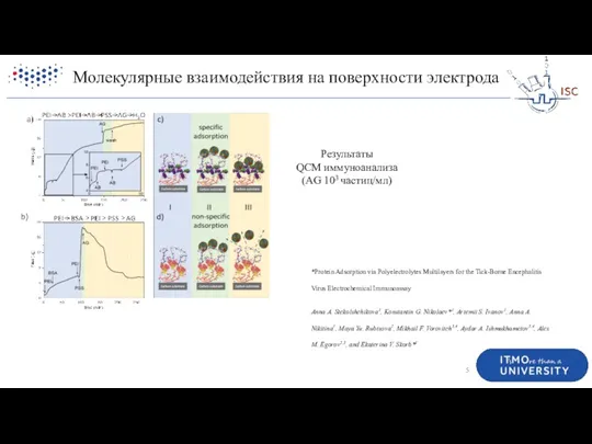 Молекулярные взаимодействия на поверхности электрода Результаты QCM иммуноанализа (AG 103