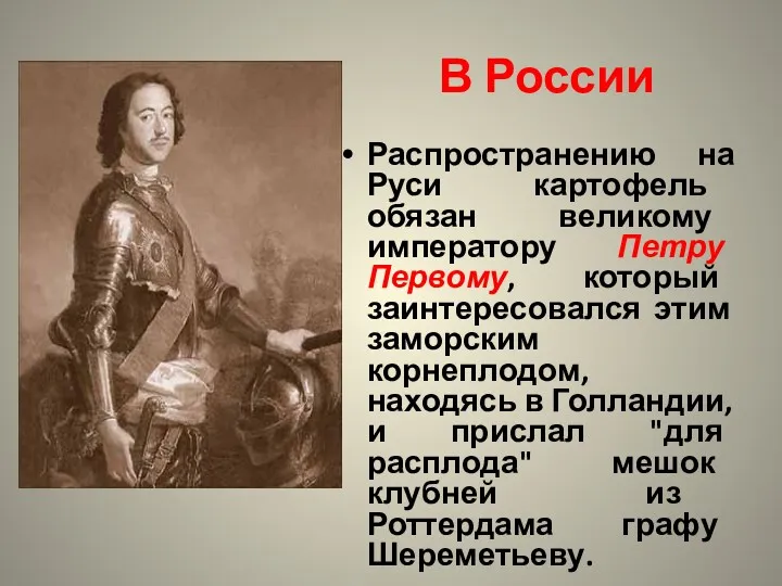 Распространению на Руси картофель обязан великому императору Петру Первому, который