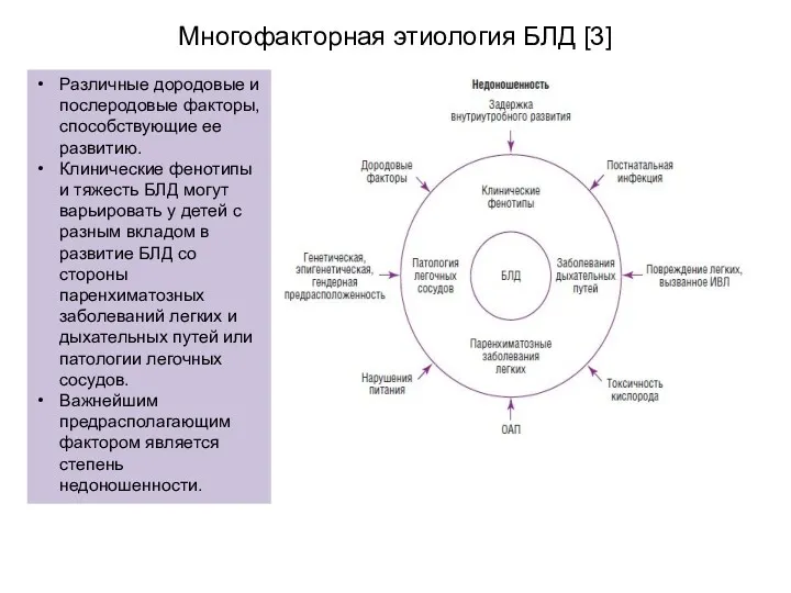Многофакторная этиология БЛД [3] Различные дородовые и послеродовые факторы, способствующие ее развитию. Клинические