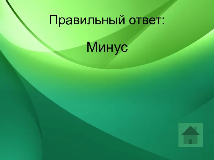 Правильный ответ: Минус