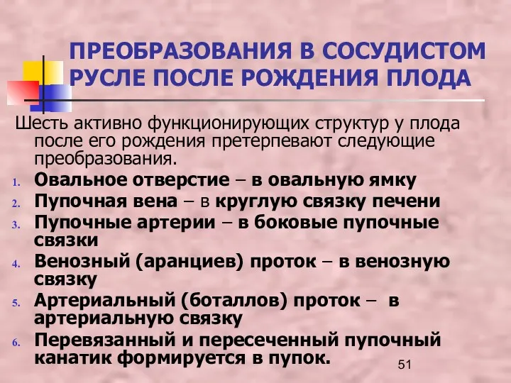 ПРЕОБРАЗОВАНИЯ В СОСУДИСТОМ РУСЛЕ ПОСЛЕ РОЖДЕНИЯ ПЛОДА Шесть активно функционирующих