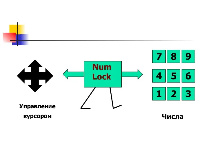 7 8 4 9 5 1 6 2 3 Num Lock Управление курсором Числа