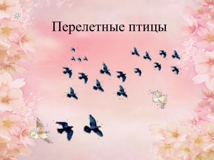 Перелетные птицы