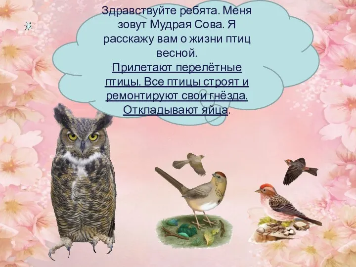 Здравствуйте ребята. Меня зовут Мудрая Сова. Я расскажу вам о жизни птиц весной.