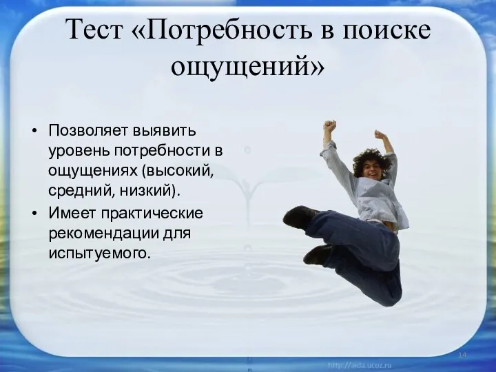 Позволяет выявить уровень потребности в ощущениях (высокий, средний, низкий). Имеет