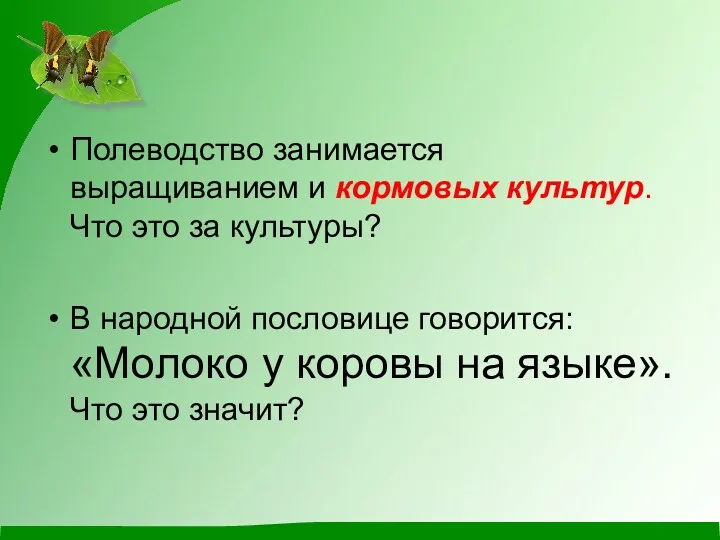 Полеводство занимается выращиванием и кормовых культур. Что это за культуры?