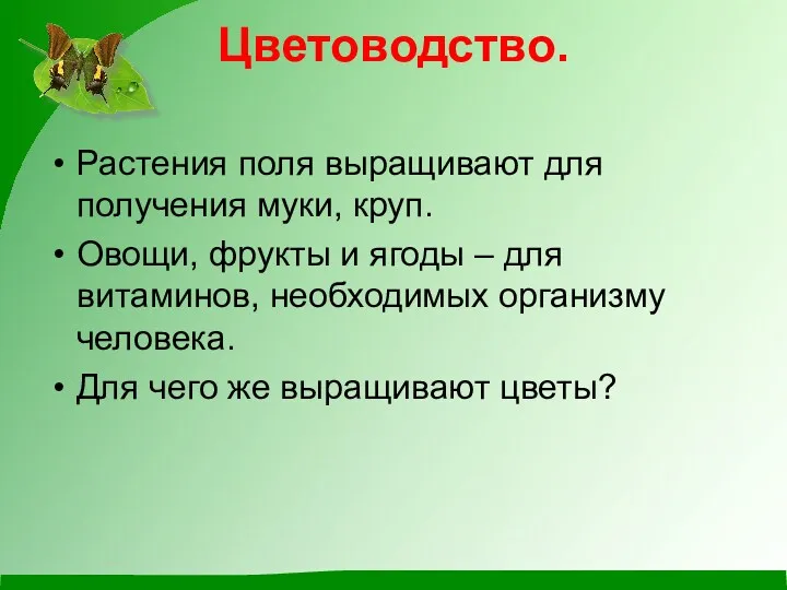 Цветоводство. Растения поля выращивают для получения муки, круп. Овощи, фрукты