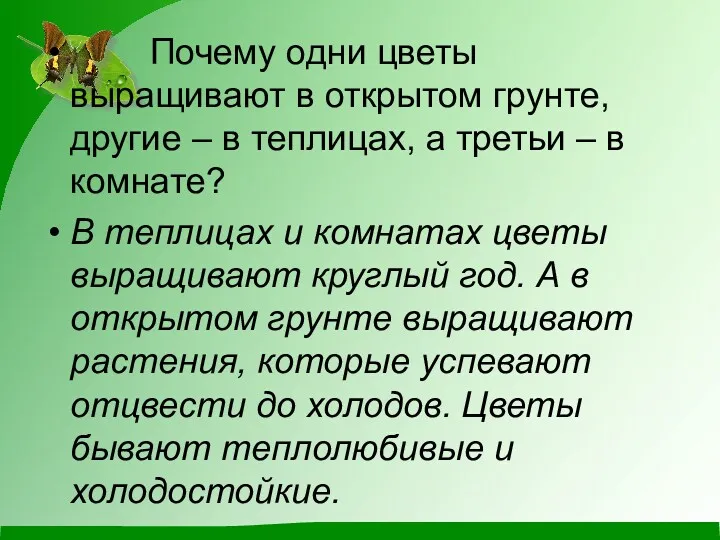 Почему одни цветы выращивают в открытом грунте, другие – в