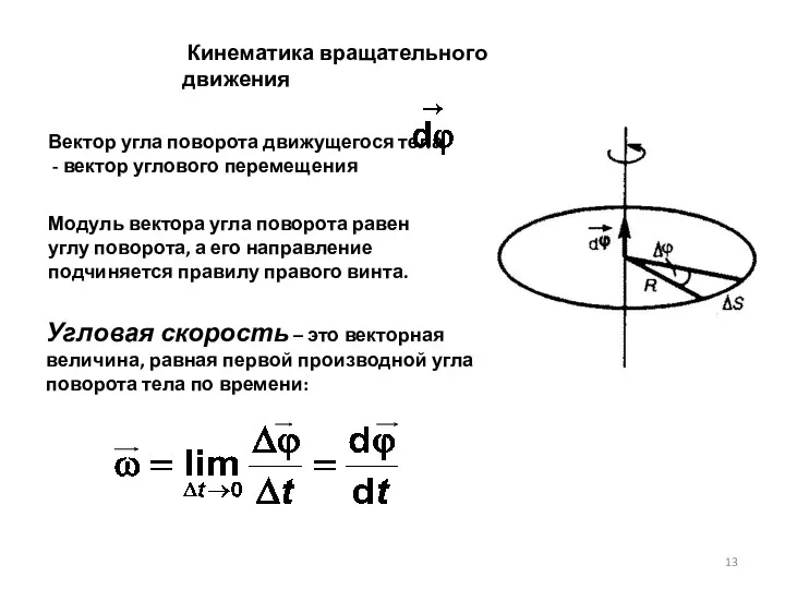 Кинематика вращательного движения Модуль вектора угла поворота равен углу поворота, а его направление
