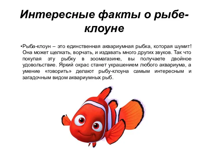 Интересные факты о рыбе-клоуне Рыба-клоун – это единственная аквариумная рыбка,