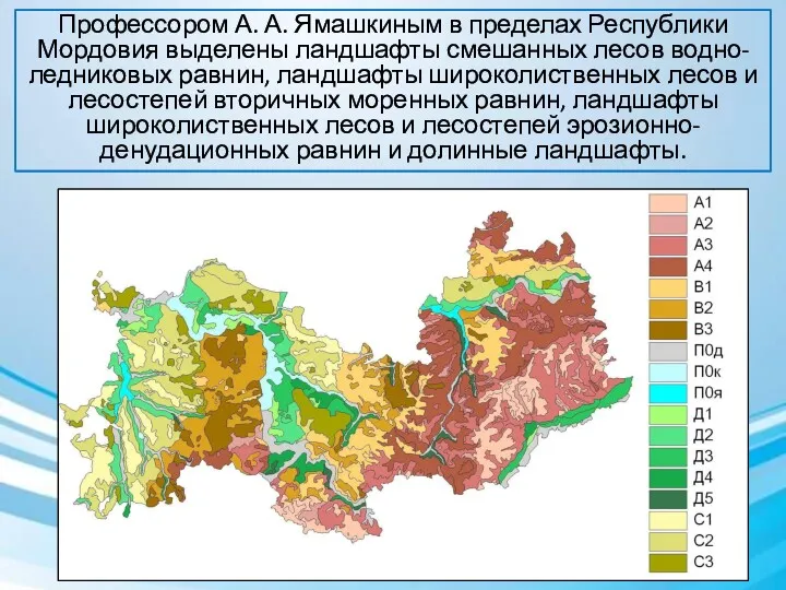 Профессором А. А. Ямашкиным в пределах Республики Мордовия выделены ландшафты