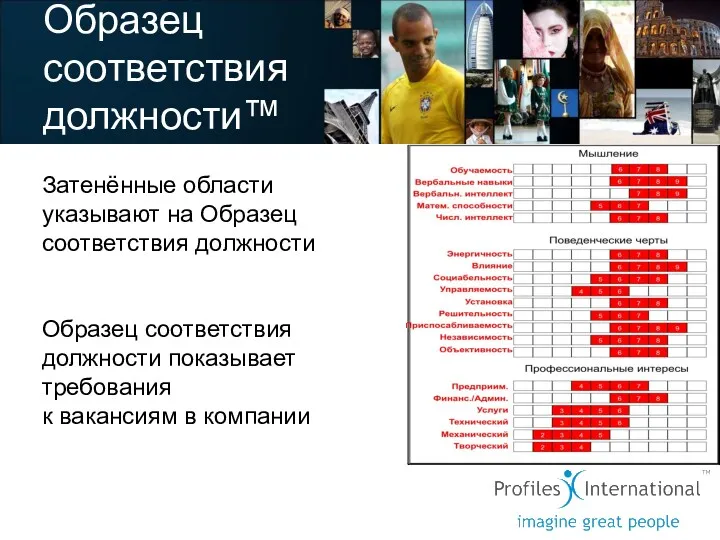 Образец соответствия должности™ Затенённые области указывают на Oбразец cоответствия должности