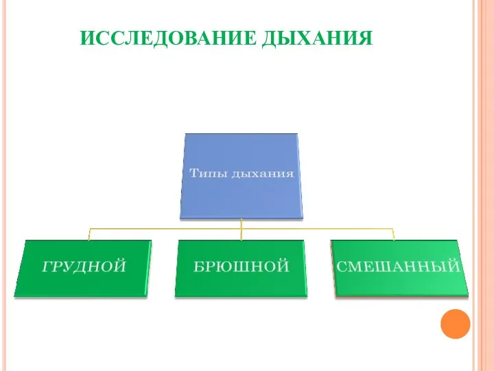 ИССЛЕДОВАНИЕ ДЫХАНИЯ