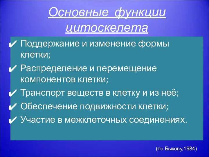 Основные функции цитоскелета Поддержание и изменение формы клетки; Распределение и