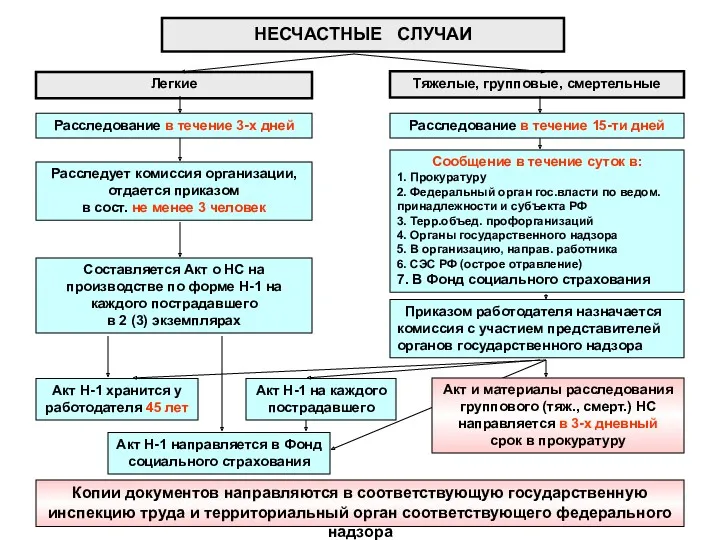 Легкие Тяжелые, групповые, смертельные Расследование в течение 3-х дней Расследование в течение 15-ти