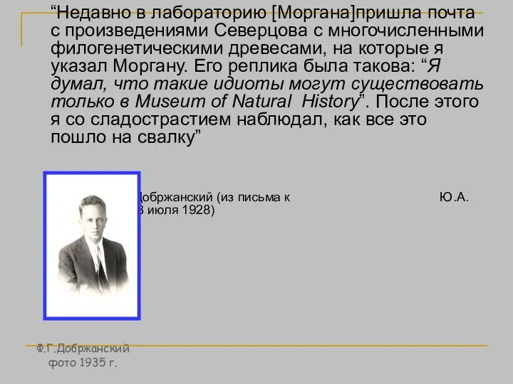 “Недавно в лабораторию [Моргана]пришла почта с произведениями Северцова с многочисленными