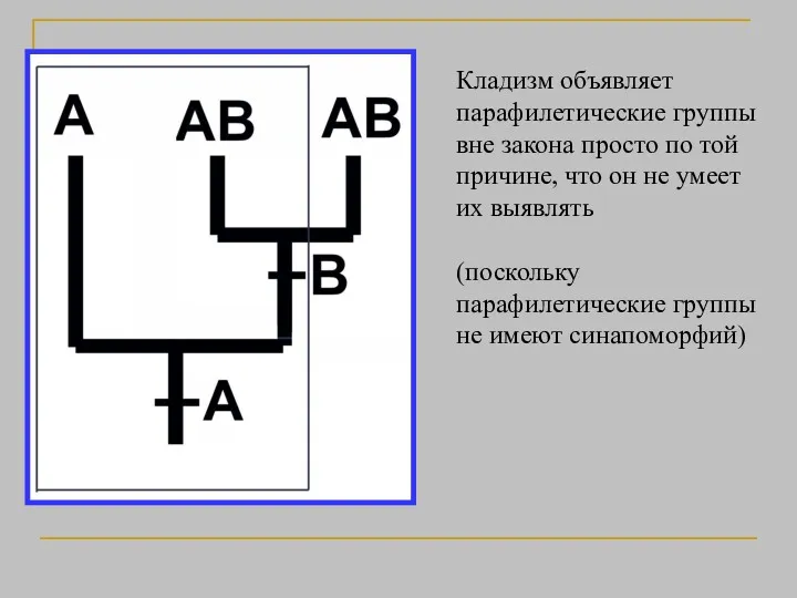 Кладизм объявляет парафилетические группы вне закона просто по той причине,