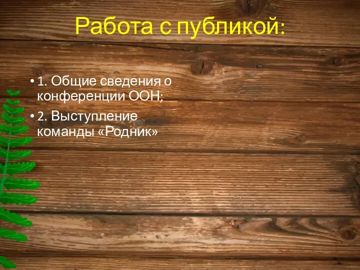 Работа с публикой: 1. Общие сведения о конференции ООН; 2. Выступление команды «Родник»