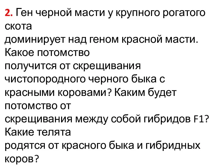 2. Ген черной масти у крупного рогатого скота доминирует над