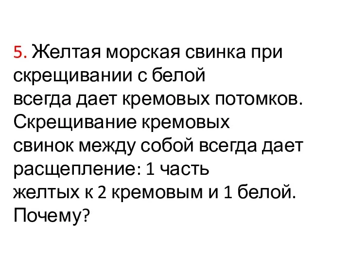 5. Желтая морская свинка при скрещивании с белой всегда дает