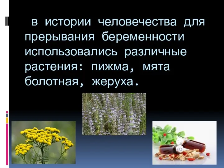 в истории человечества для прерывания беременности использовались различные растения: пижма, мята болотная, жеруха.