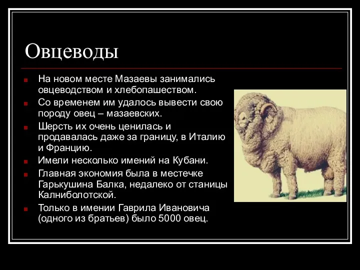 Овцеводы На новом месте Мазаевы занимались овцеводством и хлебопашеством. Со