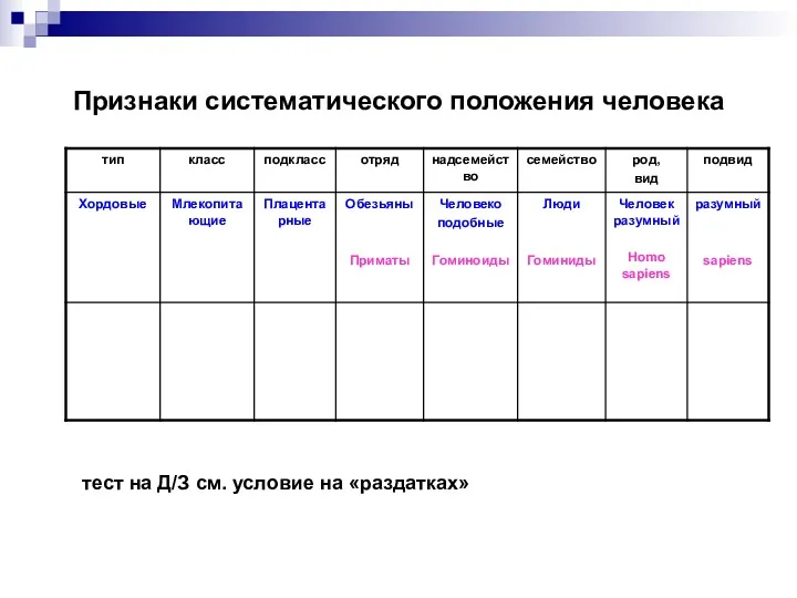 Признаки систематического положения человека тест на Д/З см. условие на «раздатках»