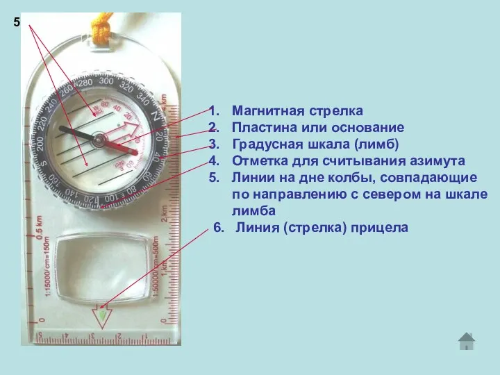 Магнитная стрелка Пластина или основание Градусная шкала (лимб) Отметка для считывания азимута Линии