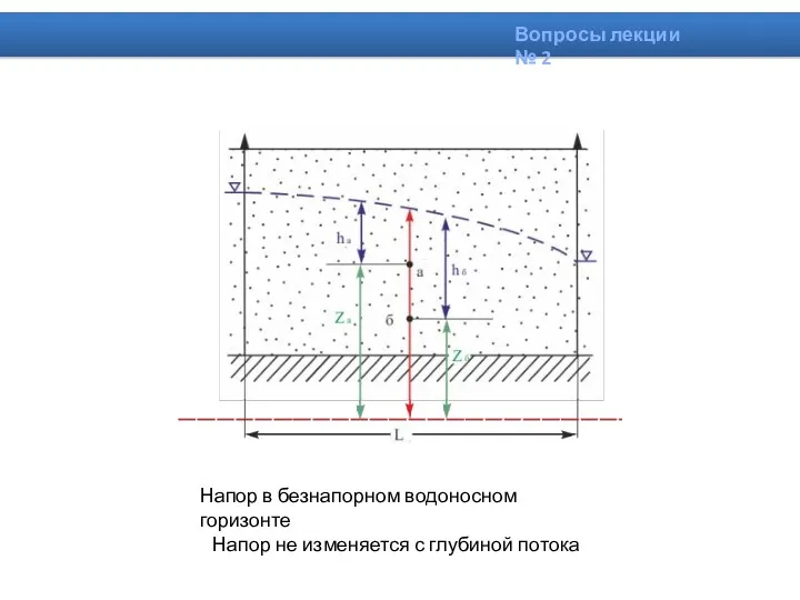 Напор в безнапорном водоносном горизонте Напор не изменяется с глубиной потока Вопросы лекции № 2