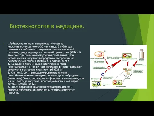 Биотехнология в медицине. . Работы по генно-инженерному получению инсулина начались