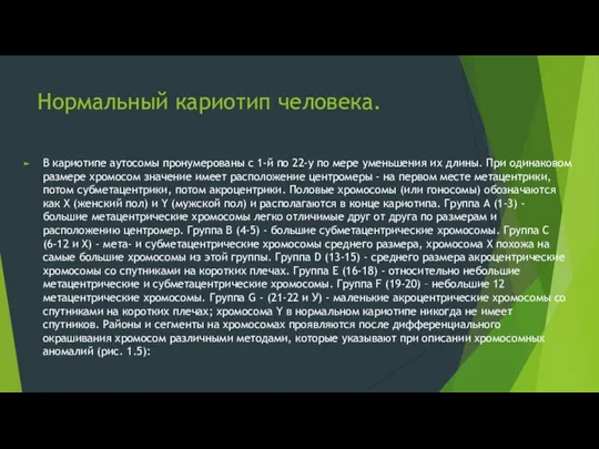 Нормальный кариотип человека. В кариотипе аутосомы пронумерованы с 1-й по