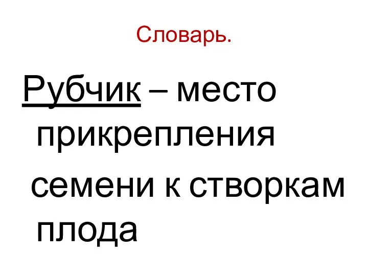 Словарь. Рубчик – место прикрепления семени к створкам плода