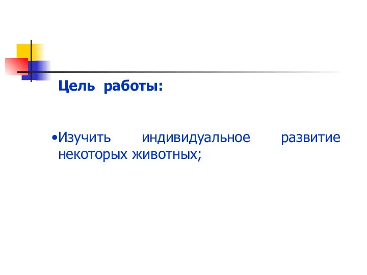 Цель работы: Изучить индивидуальное развитие некоторых животных;