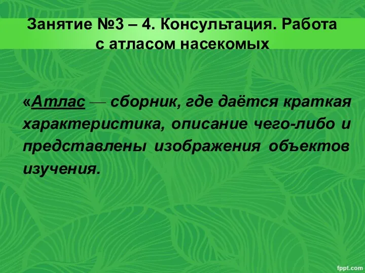 Занятие №3 – 4. Консультация. Работа с атласом насекомых «Атлас