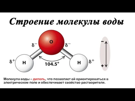 Молекула воды – диполь, что позволяет ей ориентироваться в электрическом поле и обеспечивает свойство растворителя.