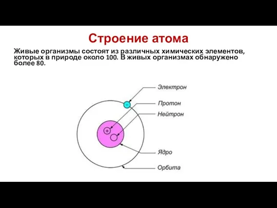 Строение атома Живые организмы состоят из различных химических элементов, которых