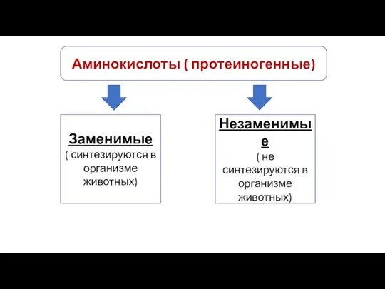 Аминокислоты ( протеиногенные) Заменимые ( синтезируются в организме животных) Незаменимые ( не синтезируются в организме животных)