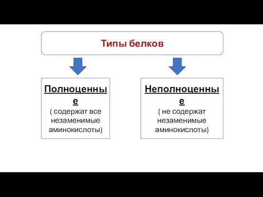 Типы белков Полноценные ( содержат все незаменимые аминокислоты) Неполноценные ( не содержат незаменимые аминокислоты)