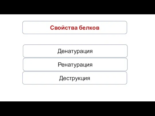 Свойства белков Денатурация Ренатурация Деструкция