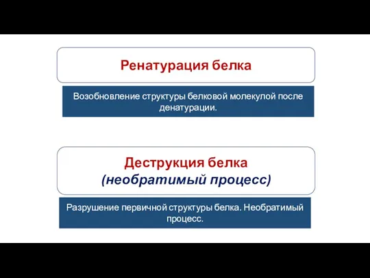 Ренатурация белка Возобновление структуры белковой молекулой после денатурации. Деструкция белка