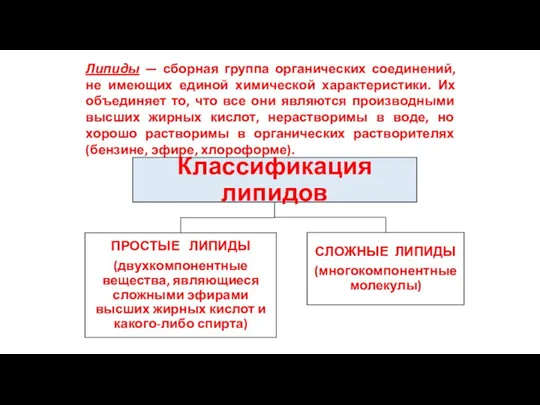 Липиды — сборная группа органических соединений, не имеющих единой химической