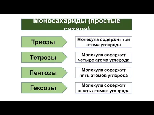 Моносахариды (простые сахара) Триозы Молекула содержит три атома углерода Тетрозы